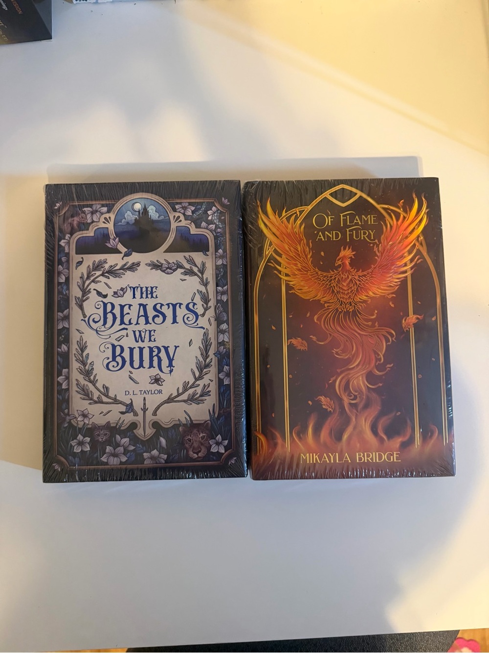 The Beasts We Bury & Of Flame and Fury - OwlCrate books